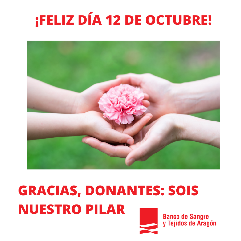Cartel donantes Día del Pilar 2023